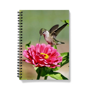 Hummingbird Notebooks