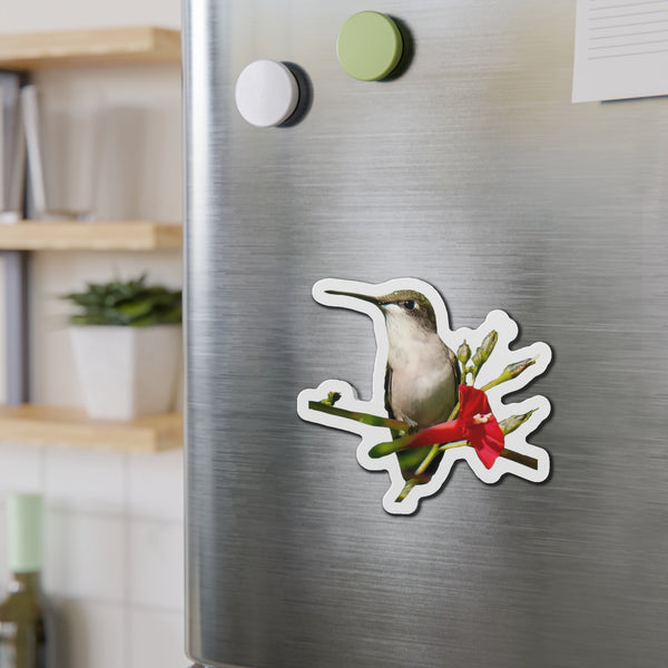 Hummingbird Red Bloom Die-Cut Magnets