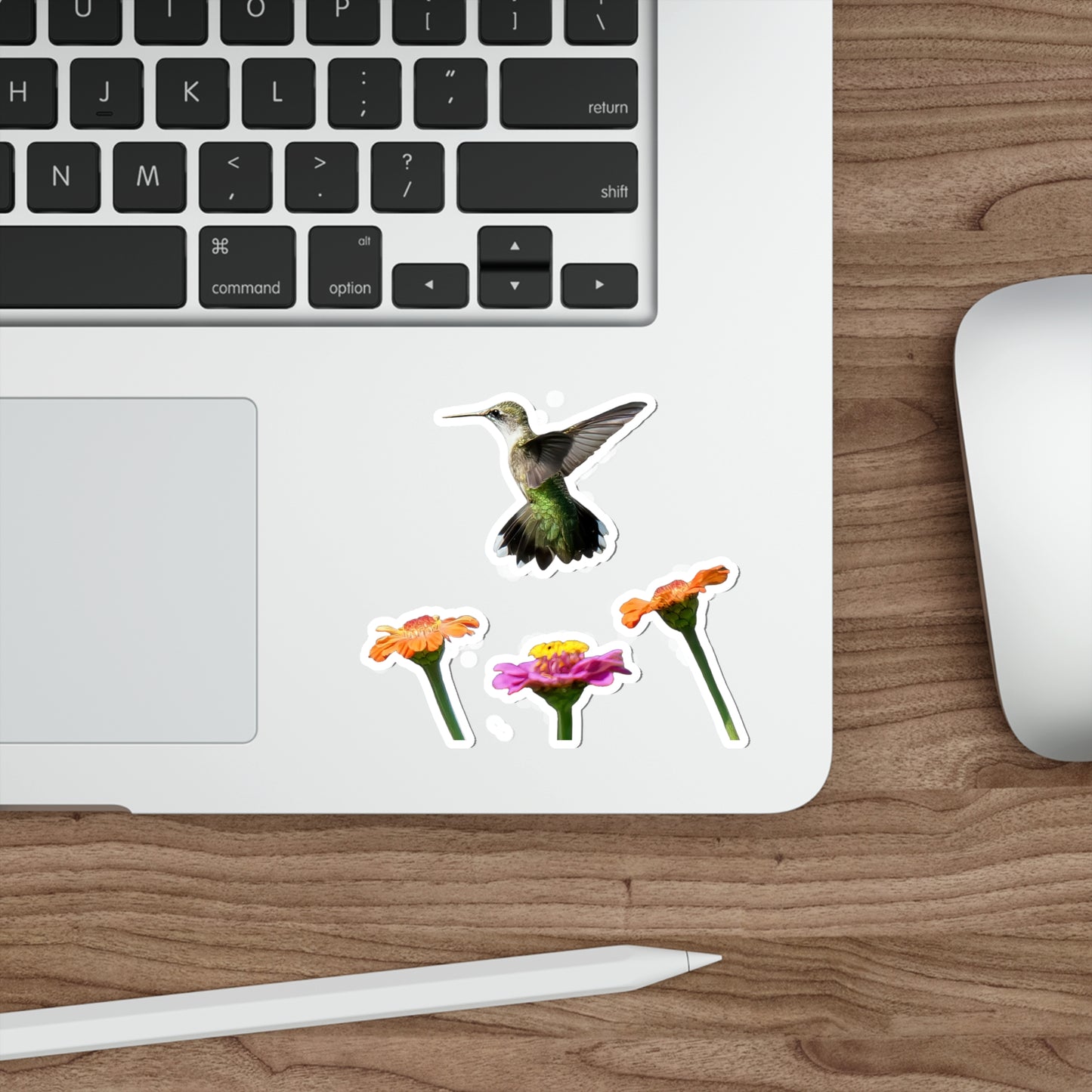 Hummingbird Rising Die-Cut Stickers