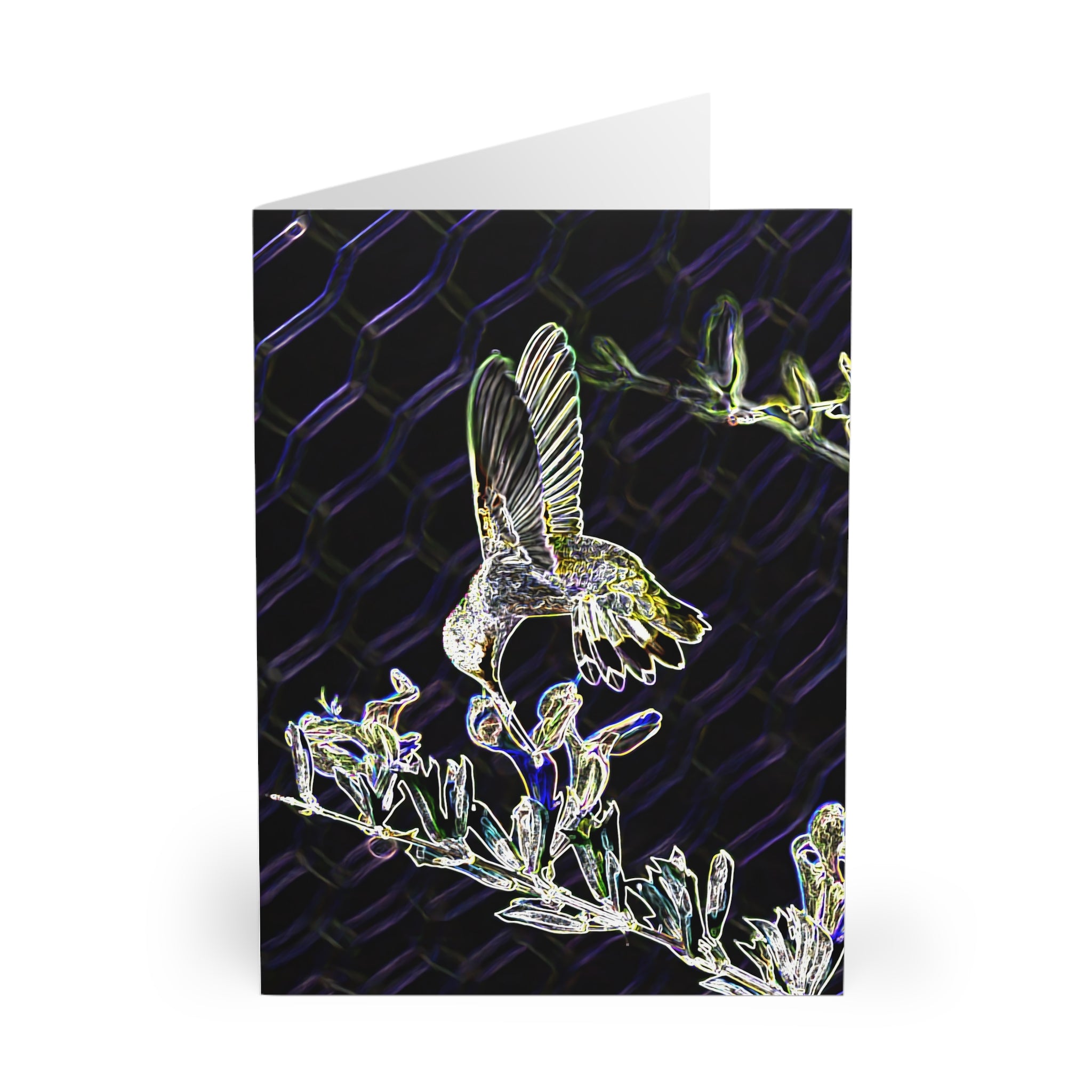 Mid Air Twist Hummingbird Night Dreams Notecard (5 Pack)