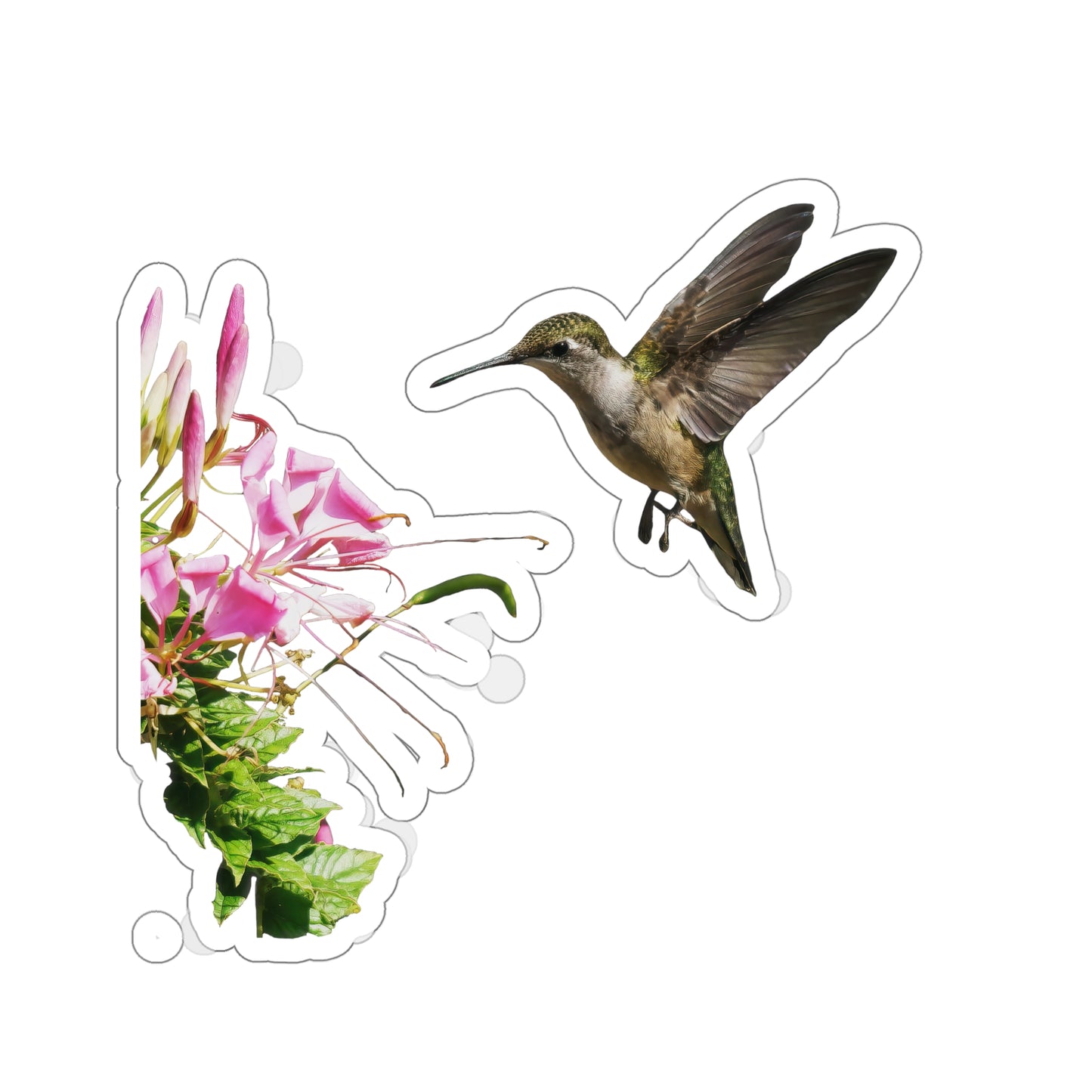 Hummingbird Shaggy Splendor Bloom Die-Cut Stickers