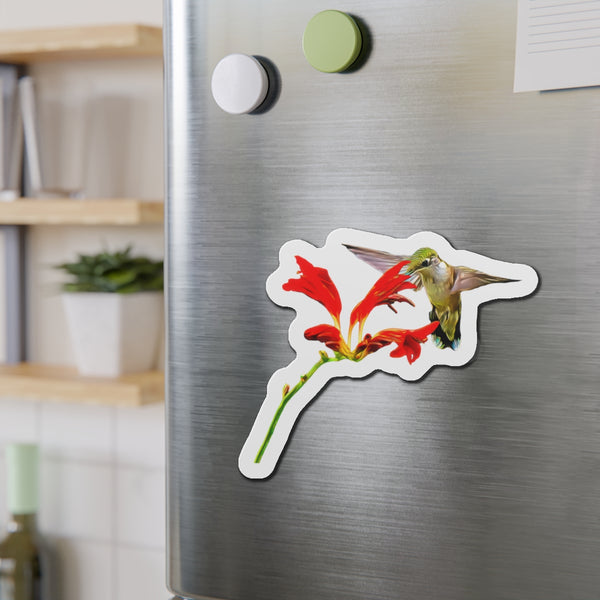 Hummingbird Red Vine Die-Cut Magnets