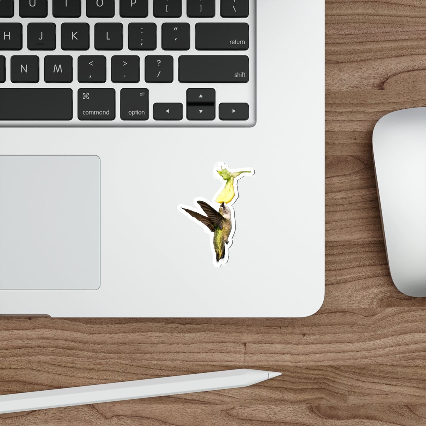 Hummingbird Looking Up Die-Cut Stickers