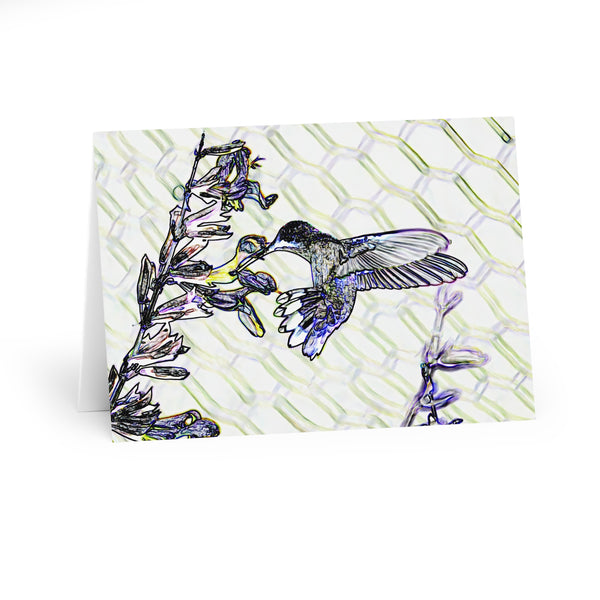 Mid Air Twist Hummingbird Art Notecard (5 Pack)