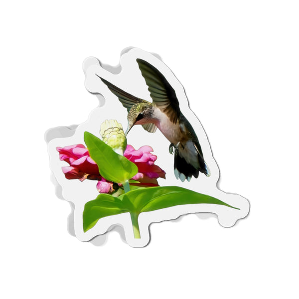 Hummingbird Wing Rise Die-Cut Magnets