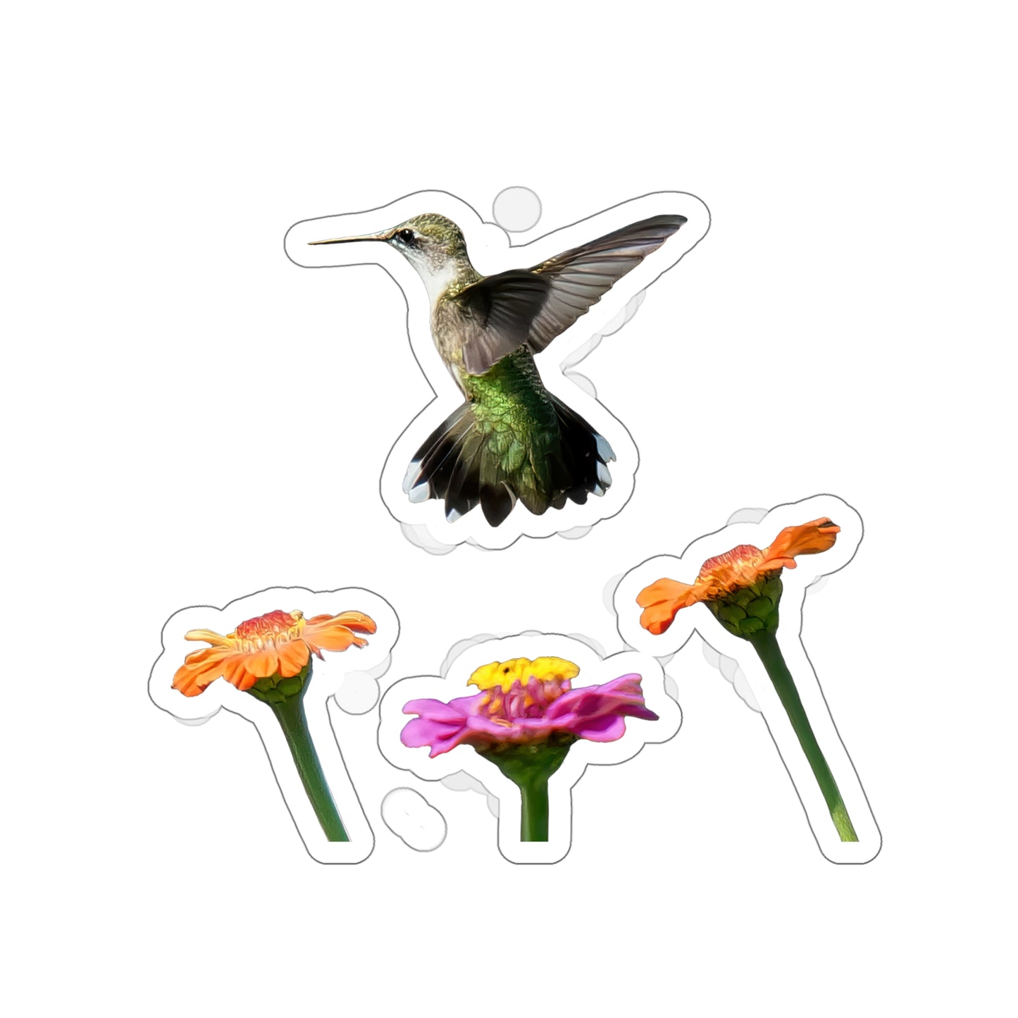 Hummingbird Rising Die-Cut Stickers