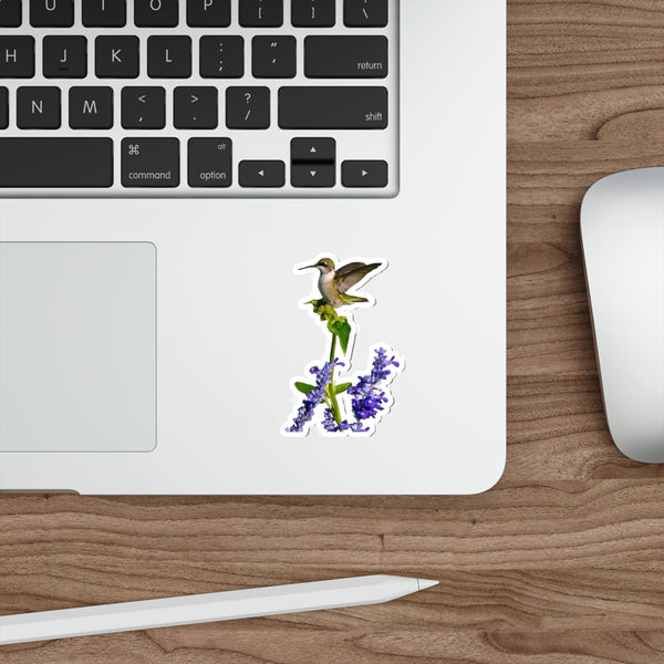 Hummingbird Lookout Die-Cut Stickers