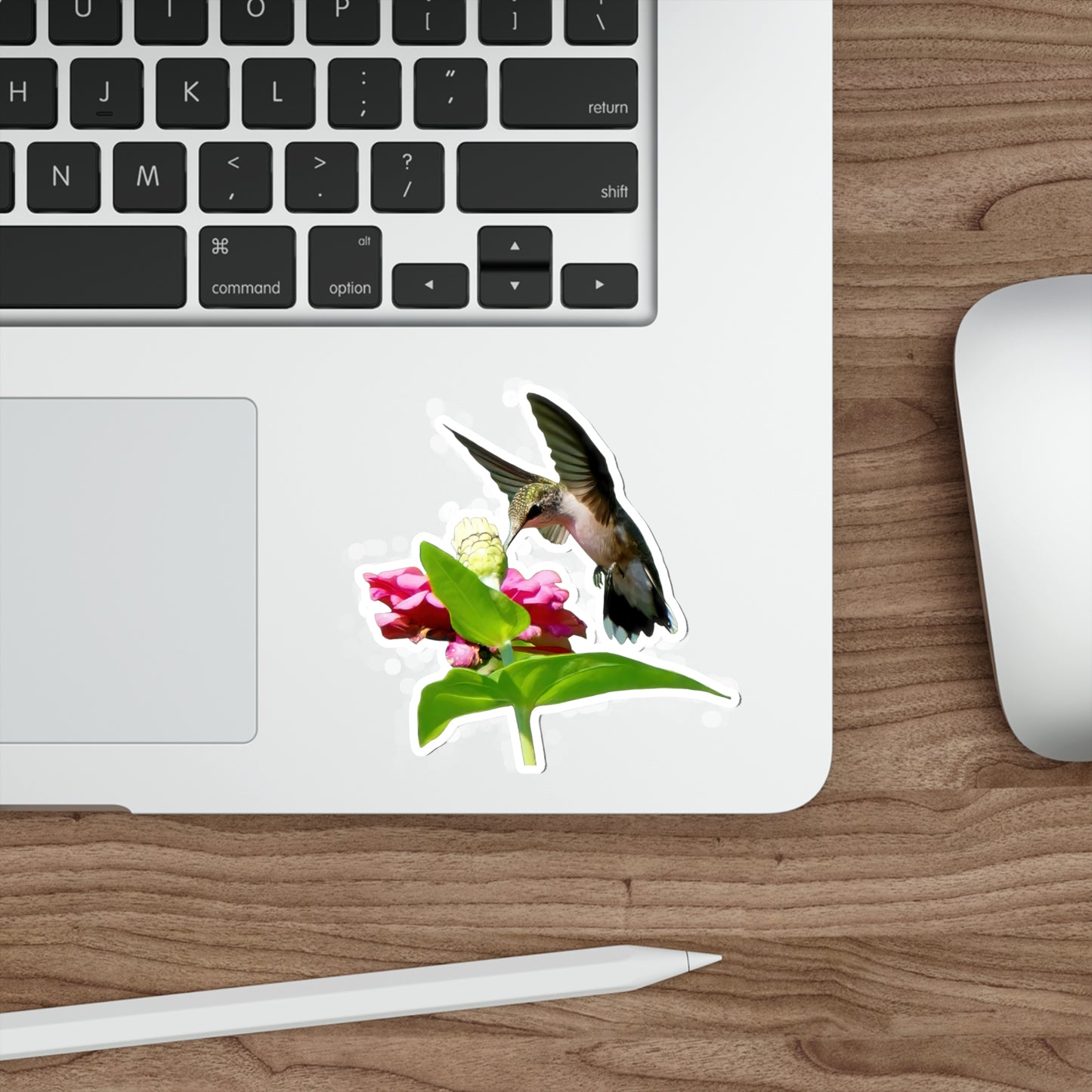 Hummingbird Hidden Zinnia Red Bloom Die-Cut Stickers