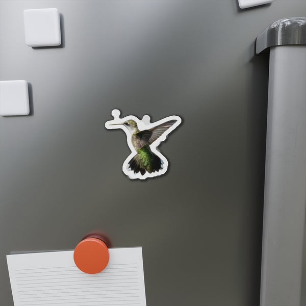 Hummingbird Alert Die-Cut Magnets