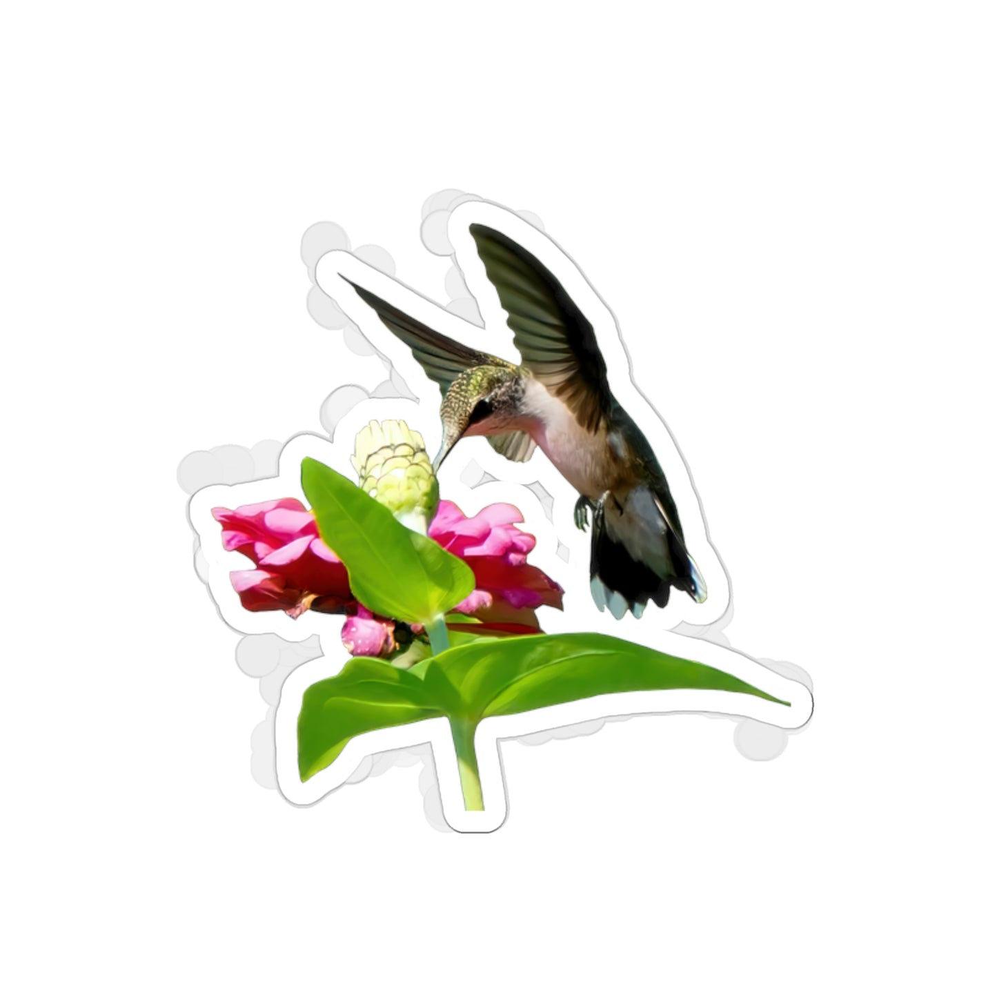 Hummingbird Hidden Zinnia Red Bloom Die-Cut Stickers