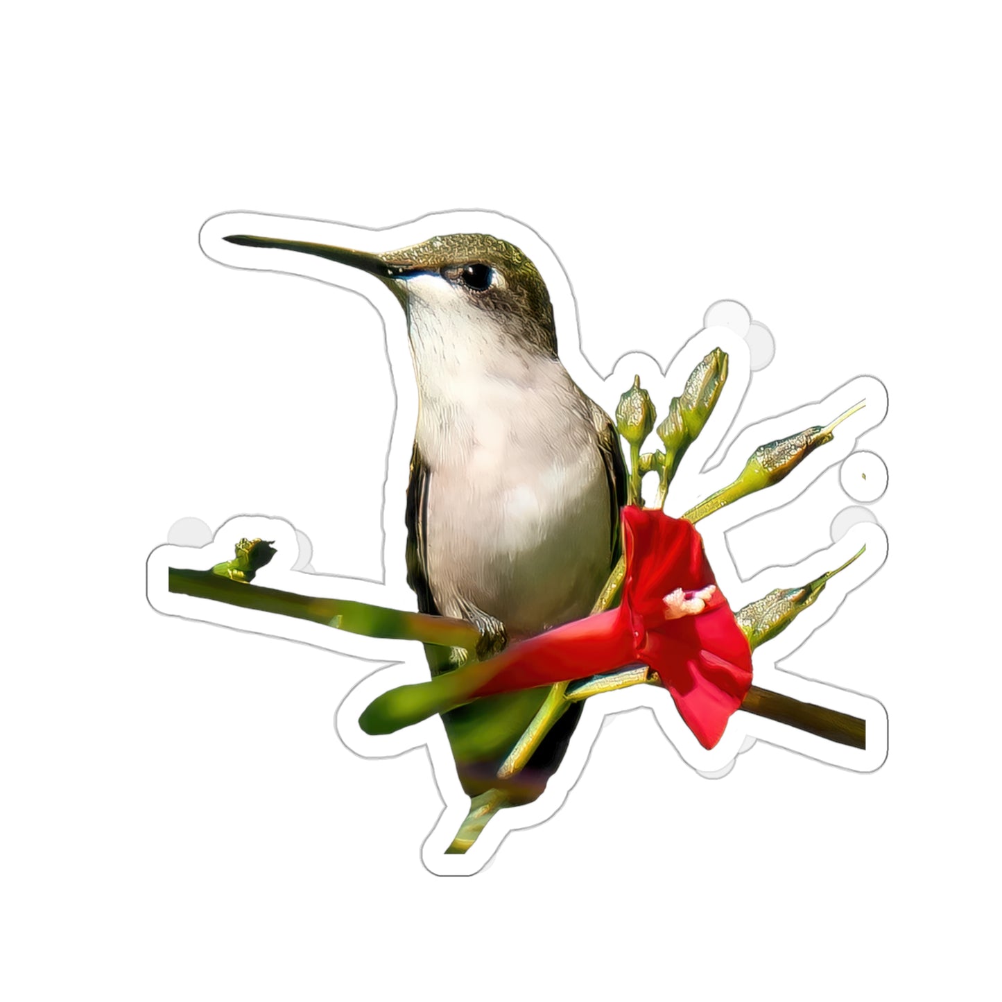 Hummingbird Red Bloom Die-Cut Stickers