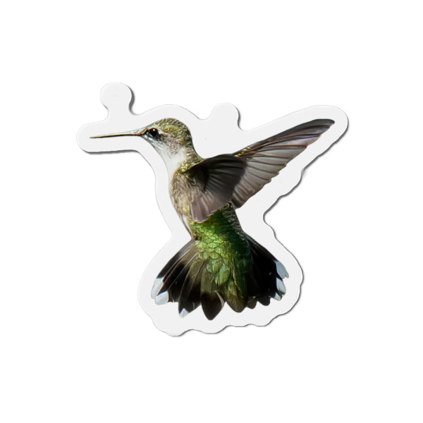 Hummingbird Alert Die-Cut Magnets