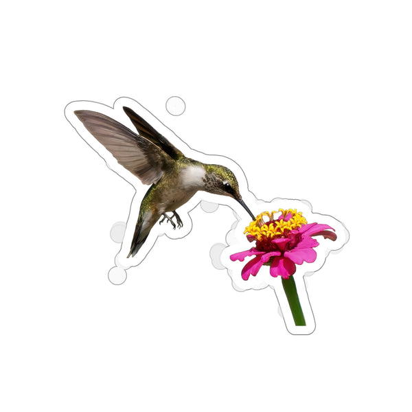 Hummingbird Taste Treat Die-Cut Stickers