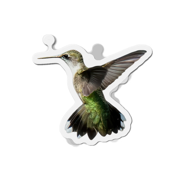 Hummingbird Alert Die-Cut Magnets