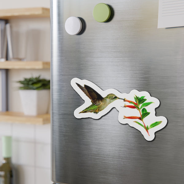 Hummingbird Simple Nibble Die-Cut Magnets