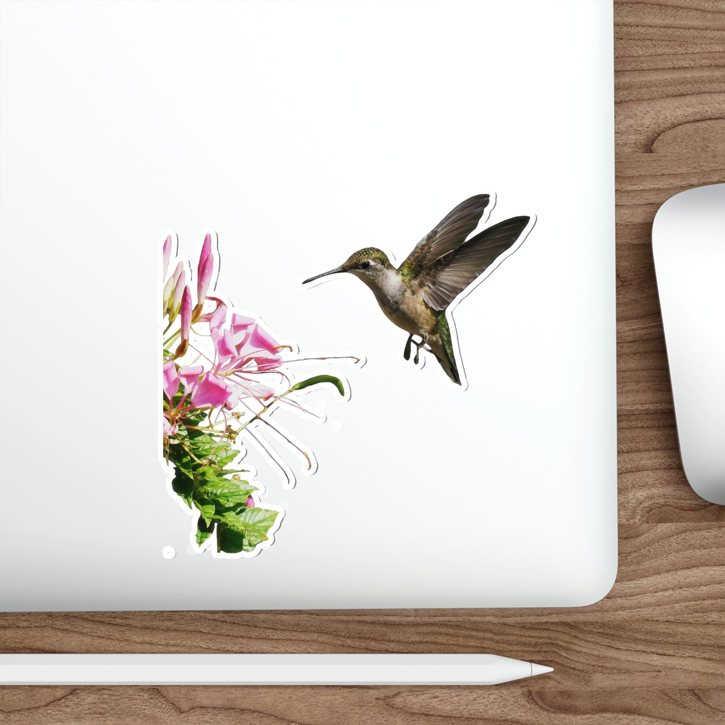 Hummingbird Shaggy Splendor Bloom Die-Cut Stickers