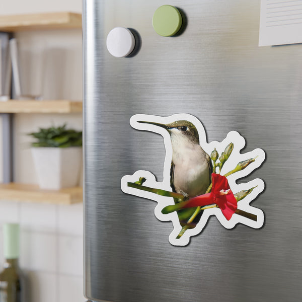 Hummingbird Red Bloom Die-Cut Magnets