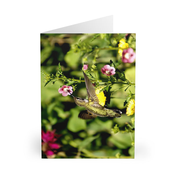 Dainty Pink Hummingbird Photography Notecard (5 Pack)