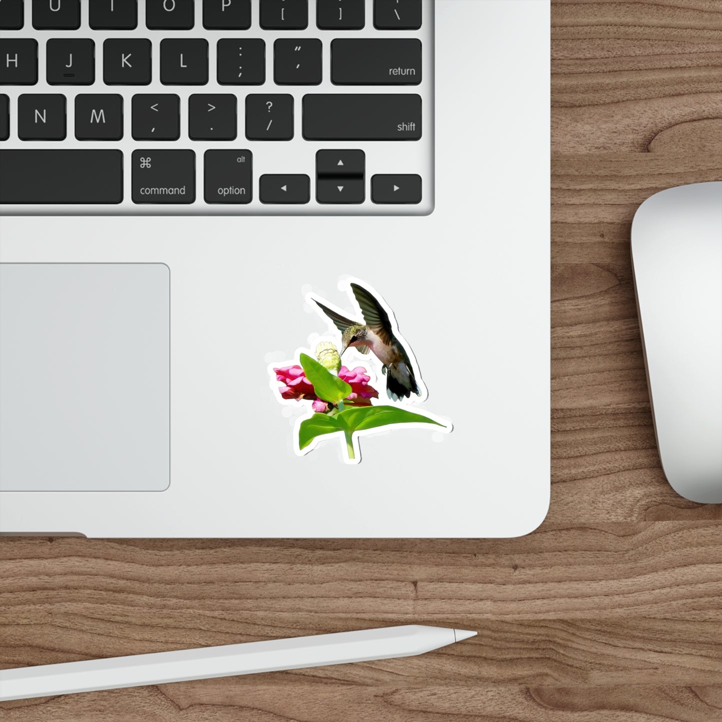 Hummingbird Hidden Zinnia Red Bloom Die-Cut Stickers