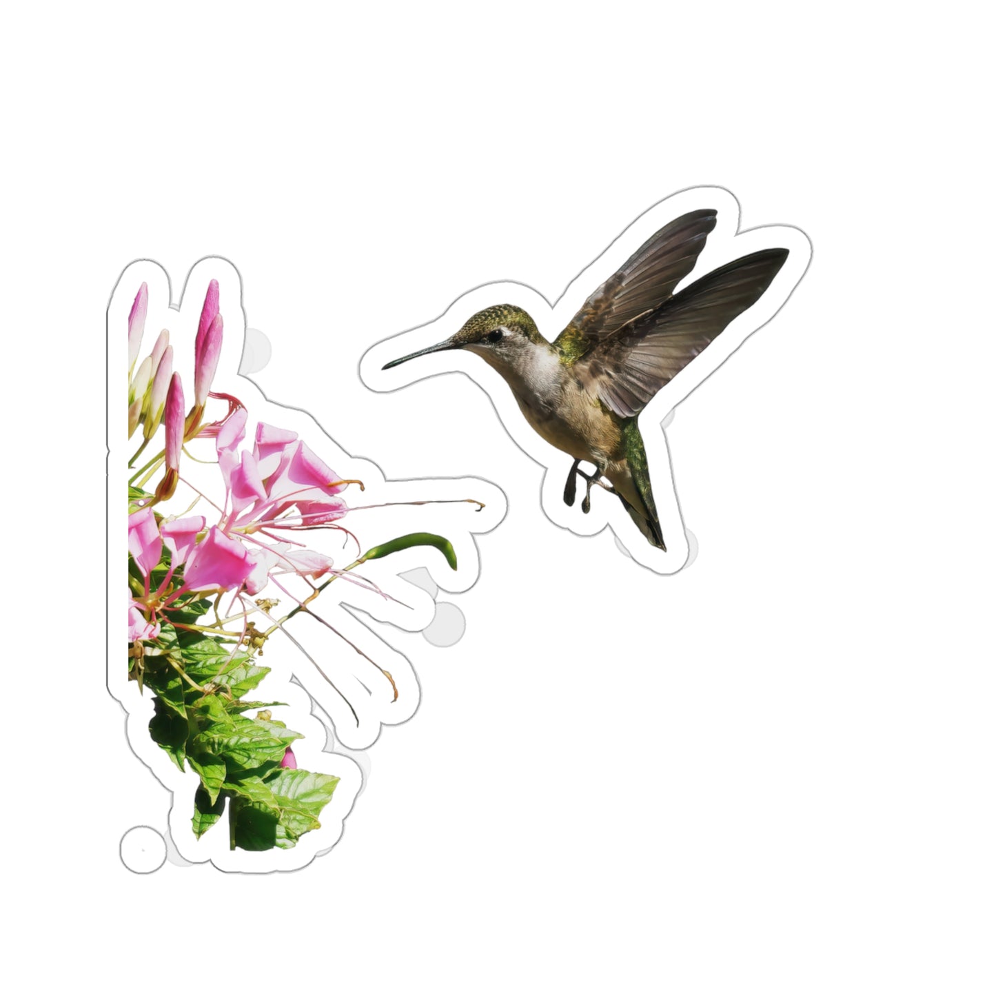 Hummingbird Shaggy Splendor Bloom Die-Cut Stickers