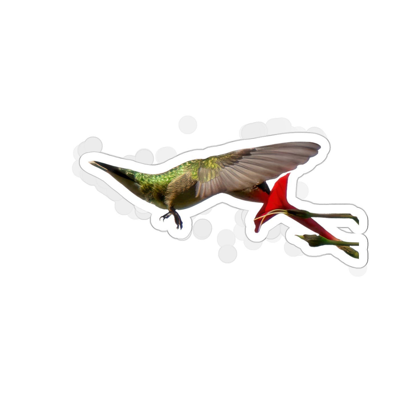 Hummingbird Nectar Die-Cut Stickers -