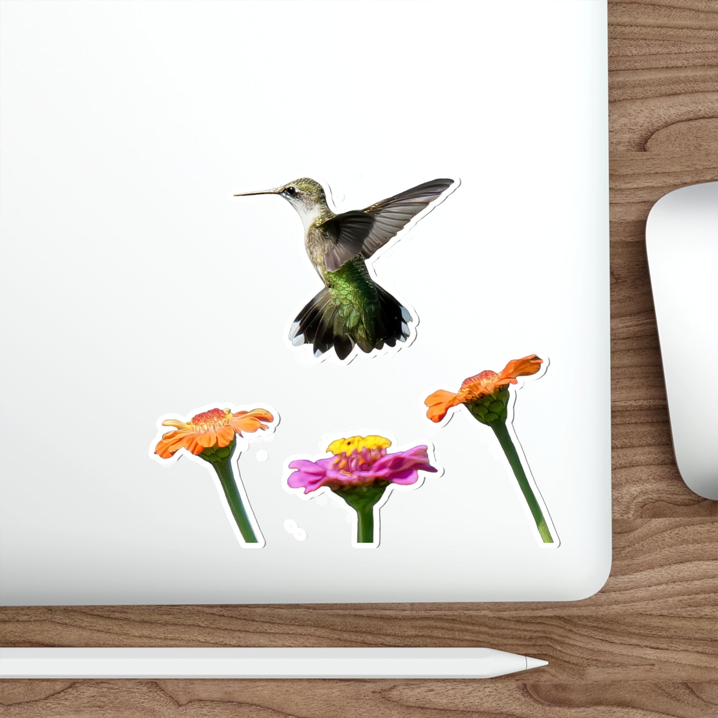 Hummingbird Rising Die-Cut Stickers