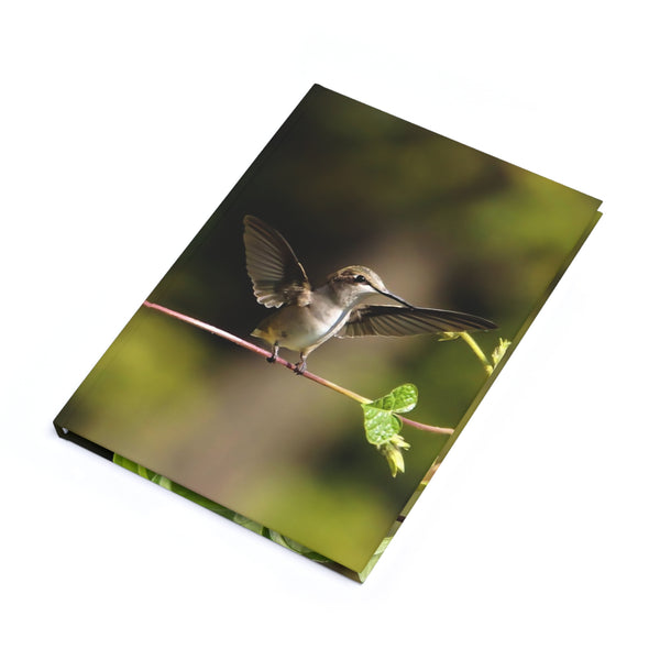 Wide Wings Hummingbird Hardcover Journal (A5)