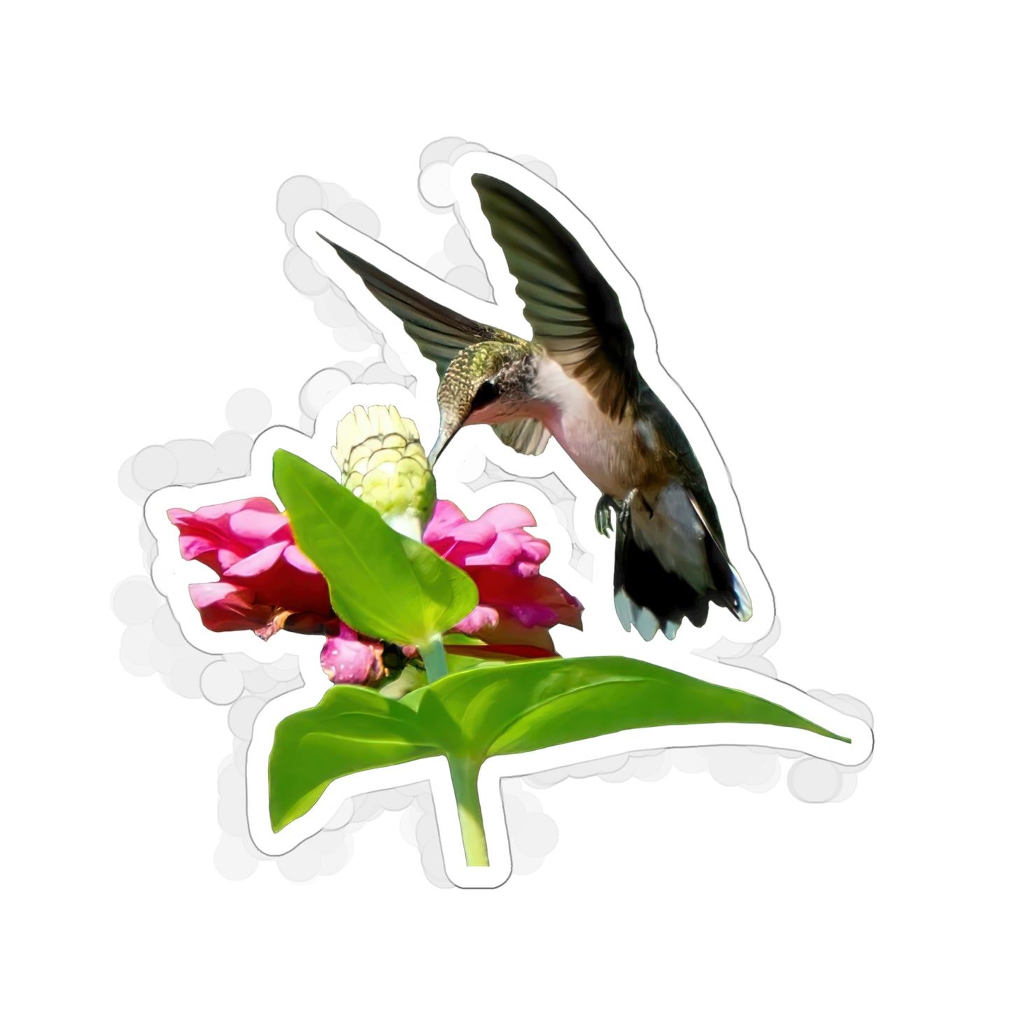 Hummingbird Hidden Zinnia Red Bloom Die-Cut Stickers