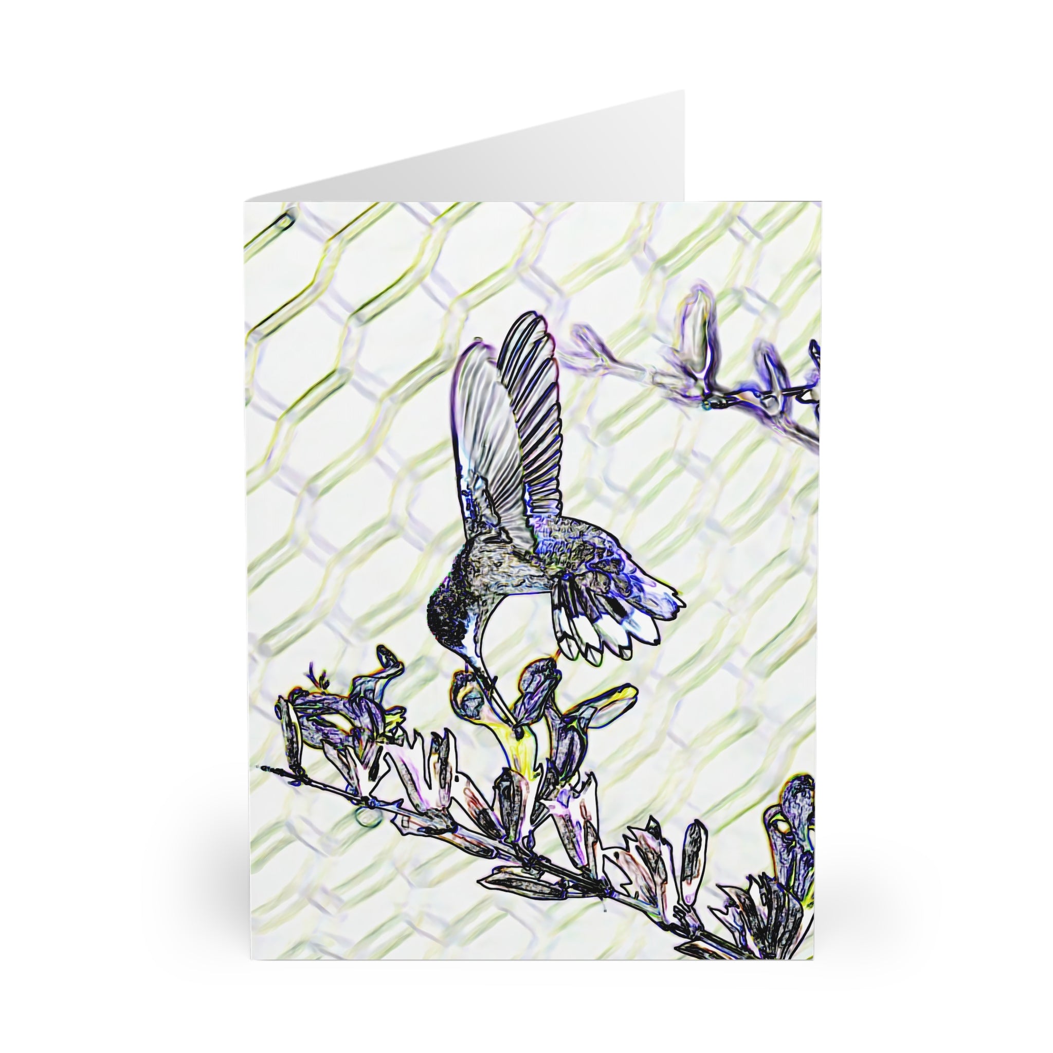 Mid Air Twist Hummingbird Art Notecard (5 Pack)