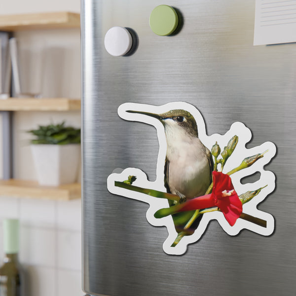 Hummingbird Red Bloom Die-Cut Magnets