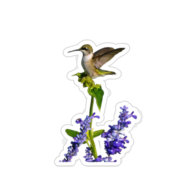 Hummingbird Lookout Die-Cut Stickers