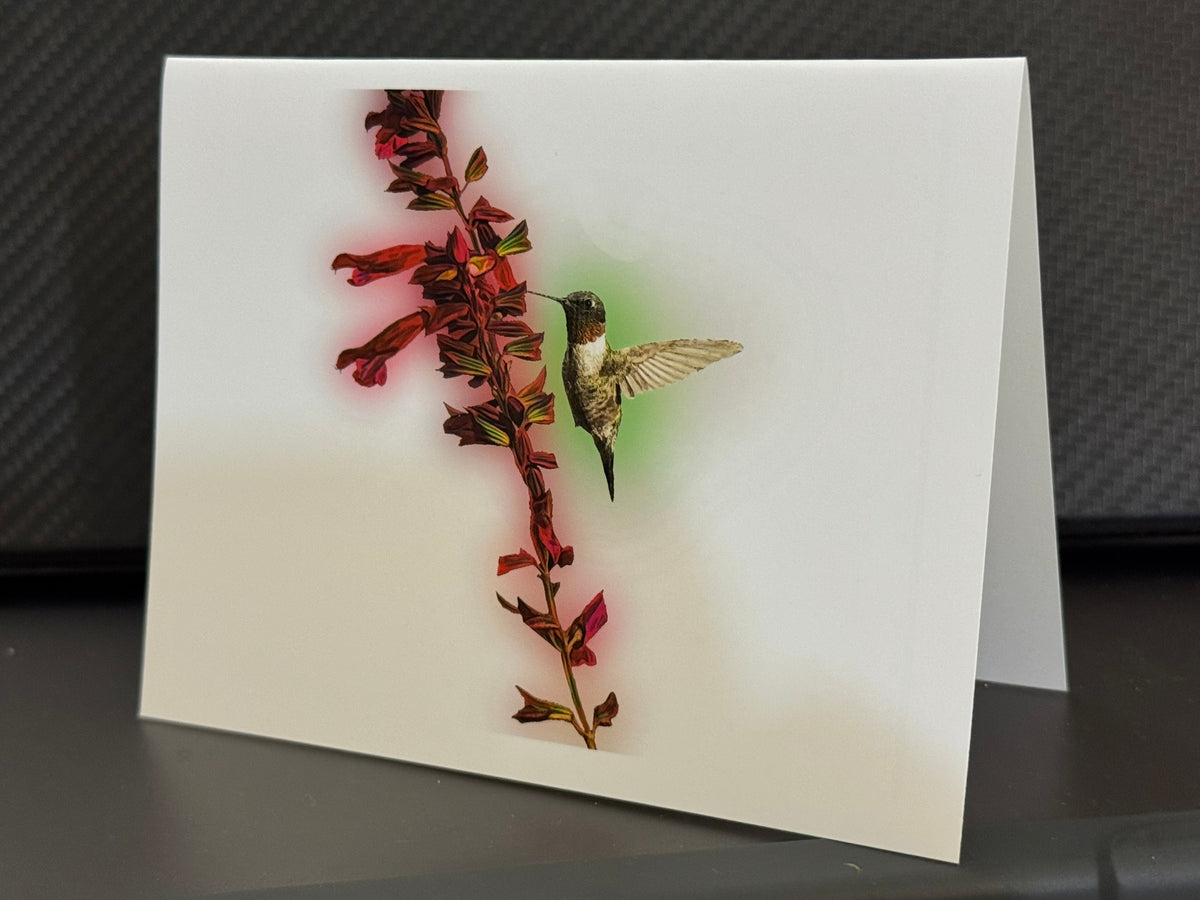 Male Ruby-throated hummingbird feeding at red salvia on a painterly note card