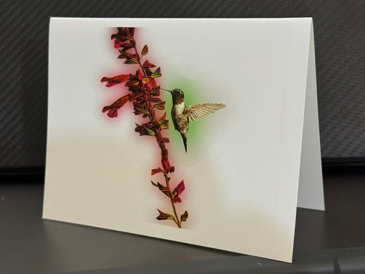 Male Ruby-throated hummingbird feeding at red salvia on a painterly note card