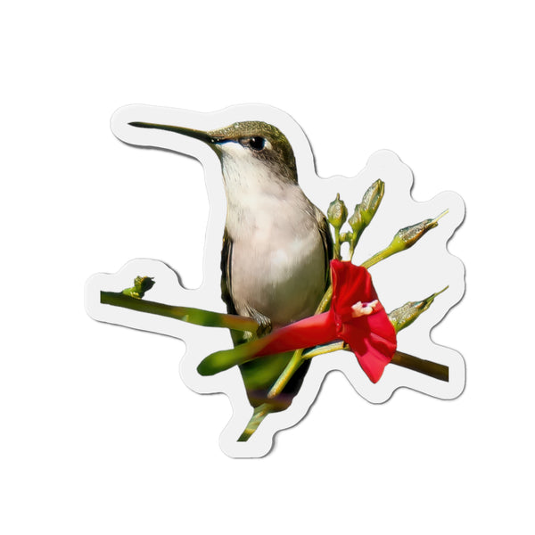 Hummingbird Red Bloom Die-Cut Magnets