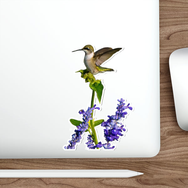 Hummingbird Lookout Die-Cut Stickers