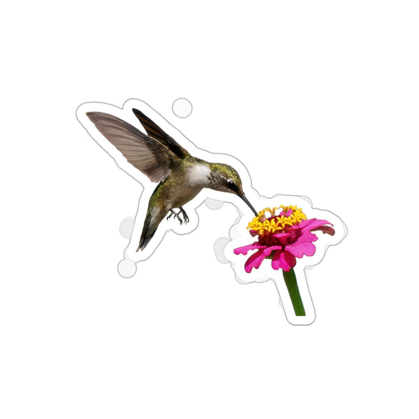 Hummingbird Taste Treat Die-Cut Stickers