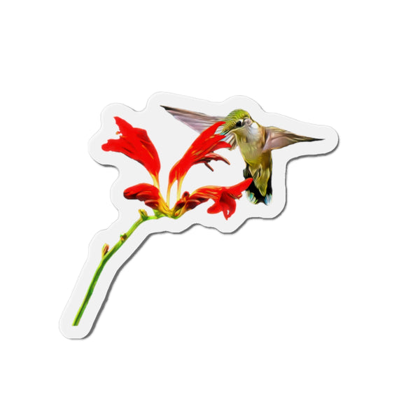 Hummingbird Red Vine Die-Cut Magnets