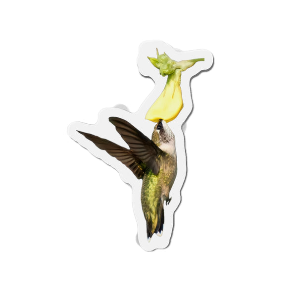 Hummingbird Looking Up Die-Cut Magnets
