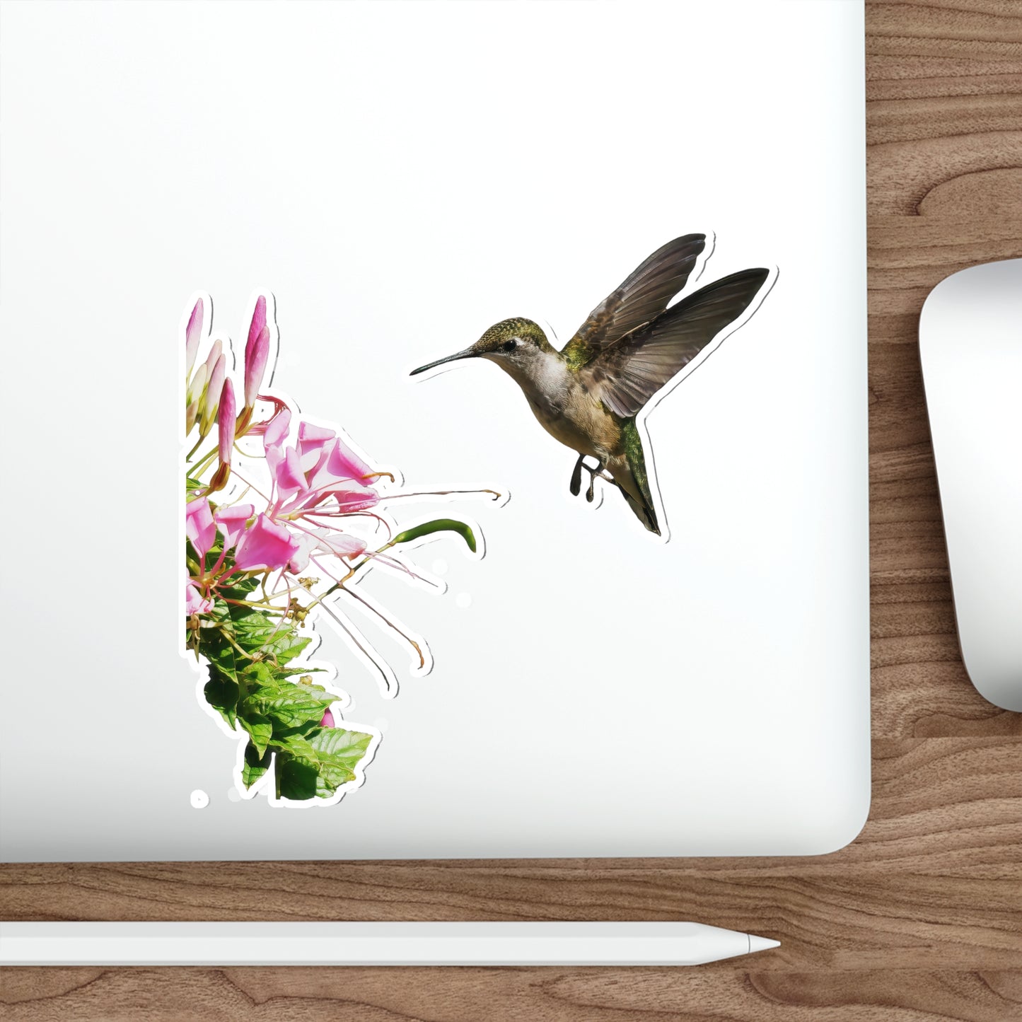 Hummingbird Shaggy Splendor Bloom Die-Cut Stickers