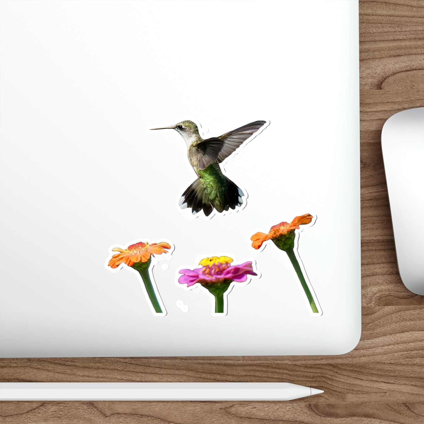Hummingbird Rising Die-Cut Stickers