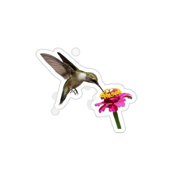 Hummingbird Taste Treat Die-Cut Stickers