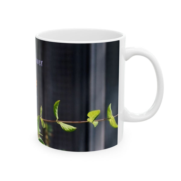 Flower Shower Hummingbird Ceramic Mug 11oz