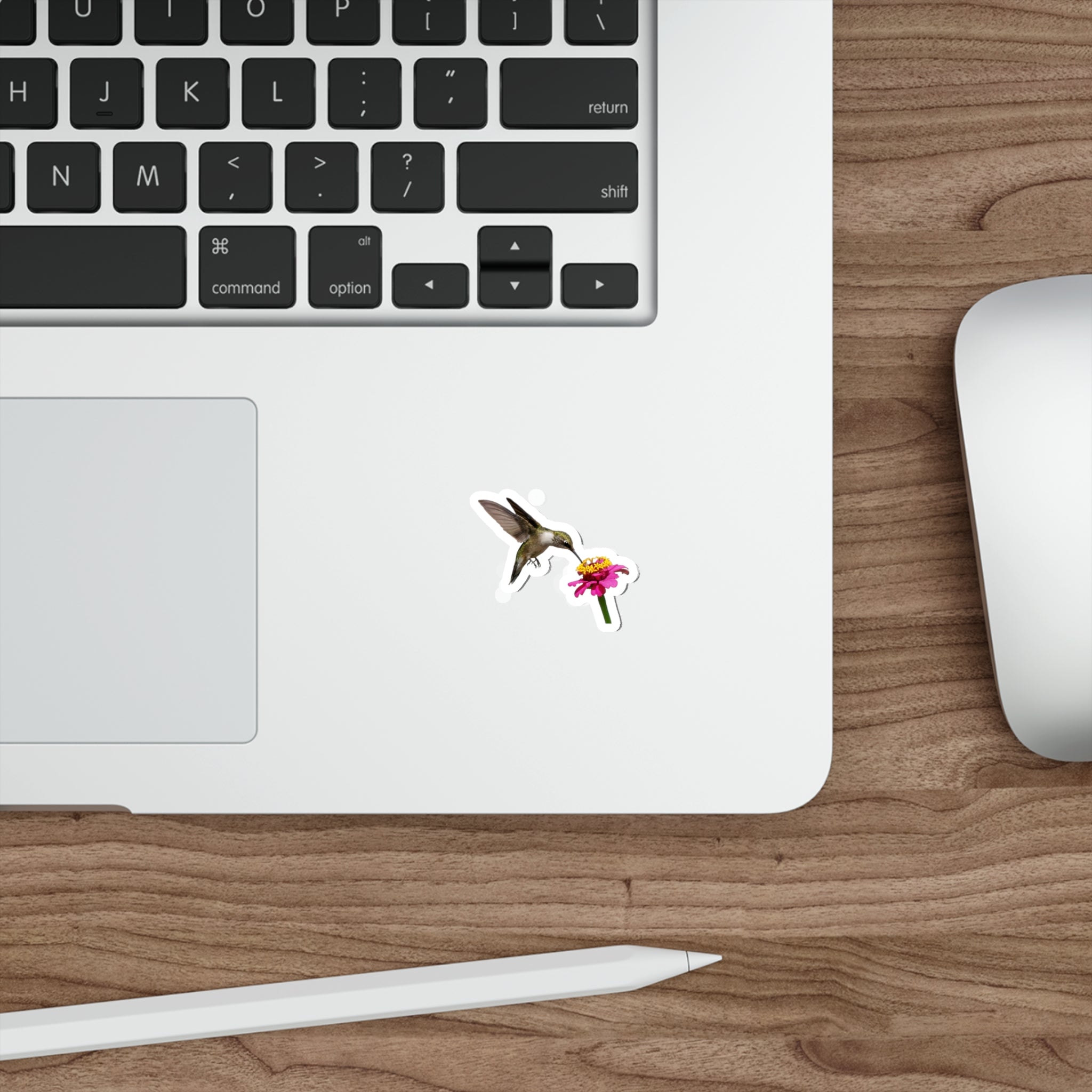 Hummingbird Taste Treat Die-Cut Stickers