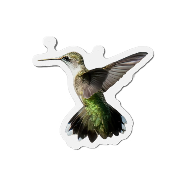 Hummingbird Alert Die-Cut Magnets