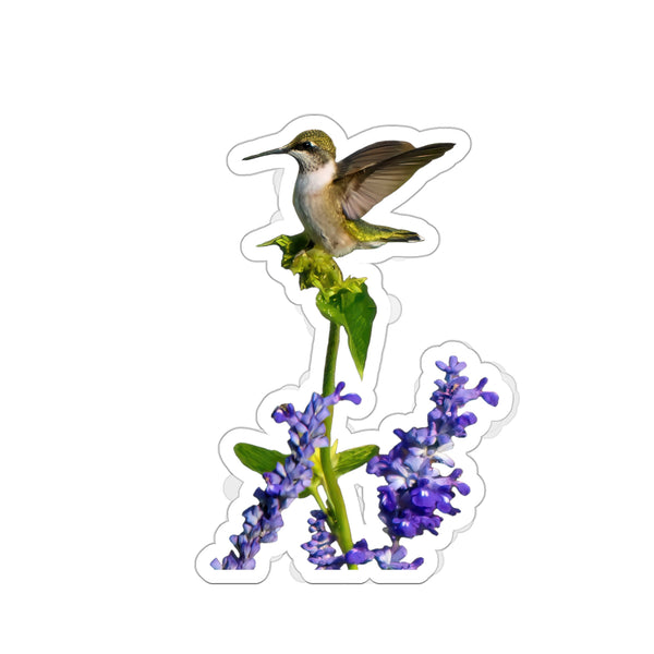 Hummingbird Lookout Die-Cut Stickers