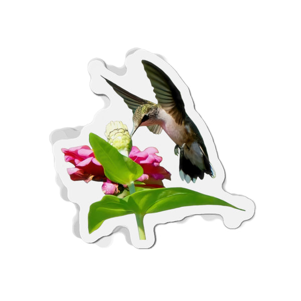 Hummingbird Wing Rise Die-Cut Magnets