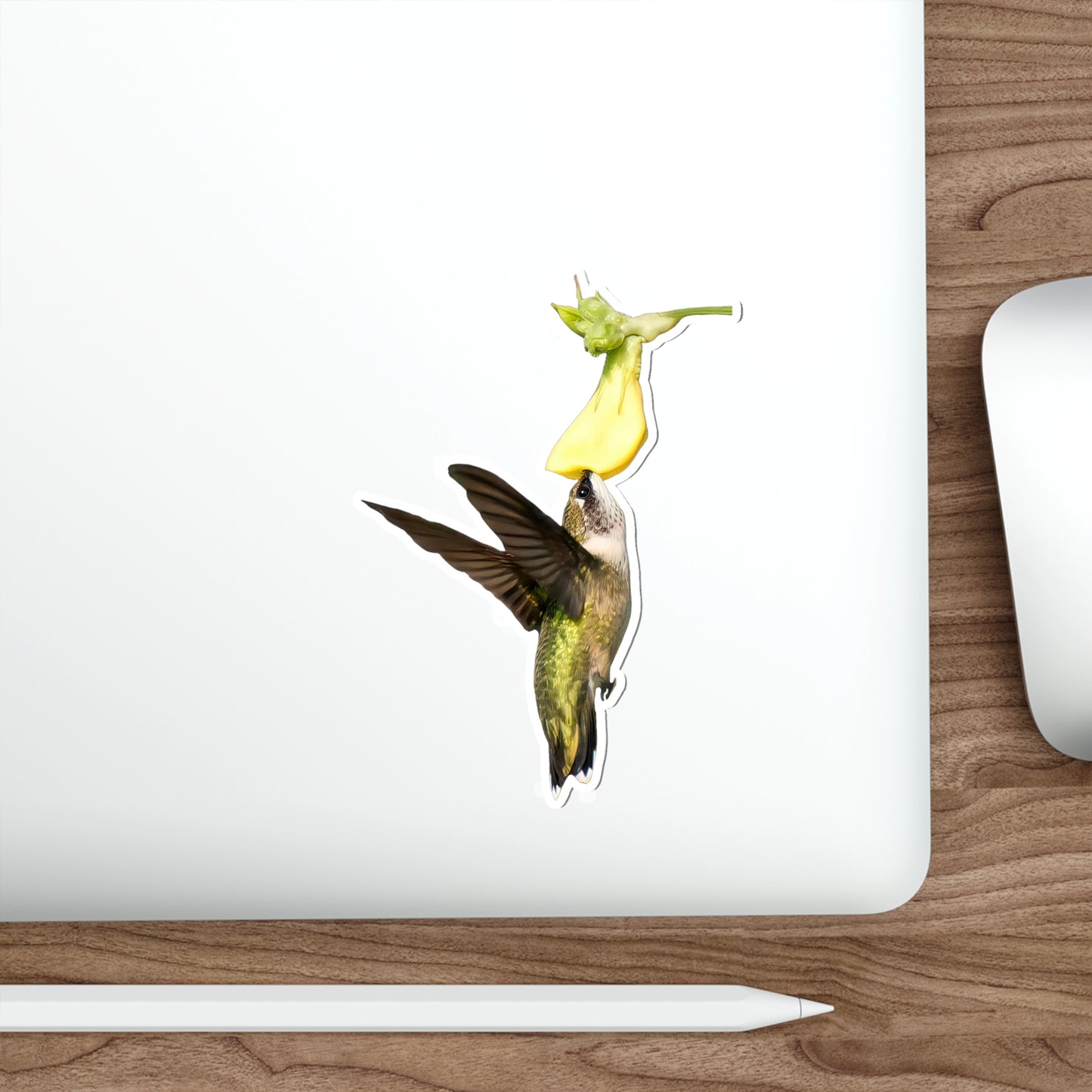 Hummingbird Looking Up Die-Cut Stickers