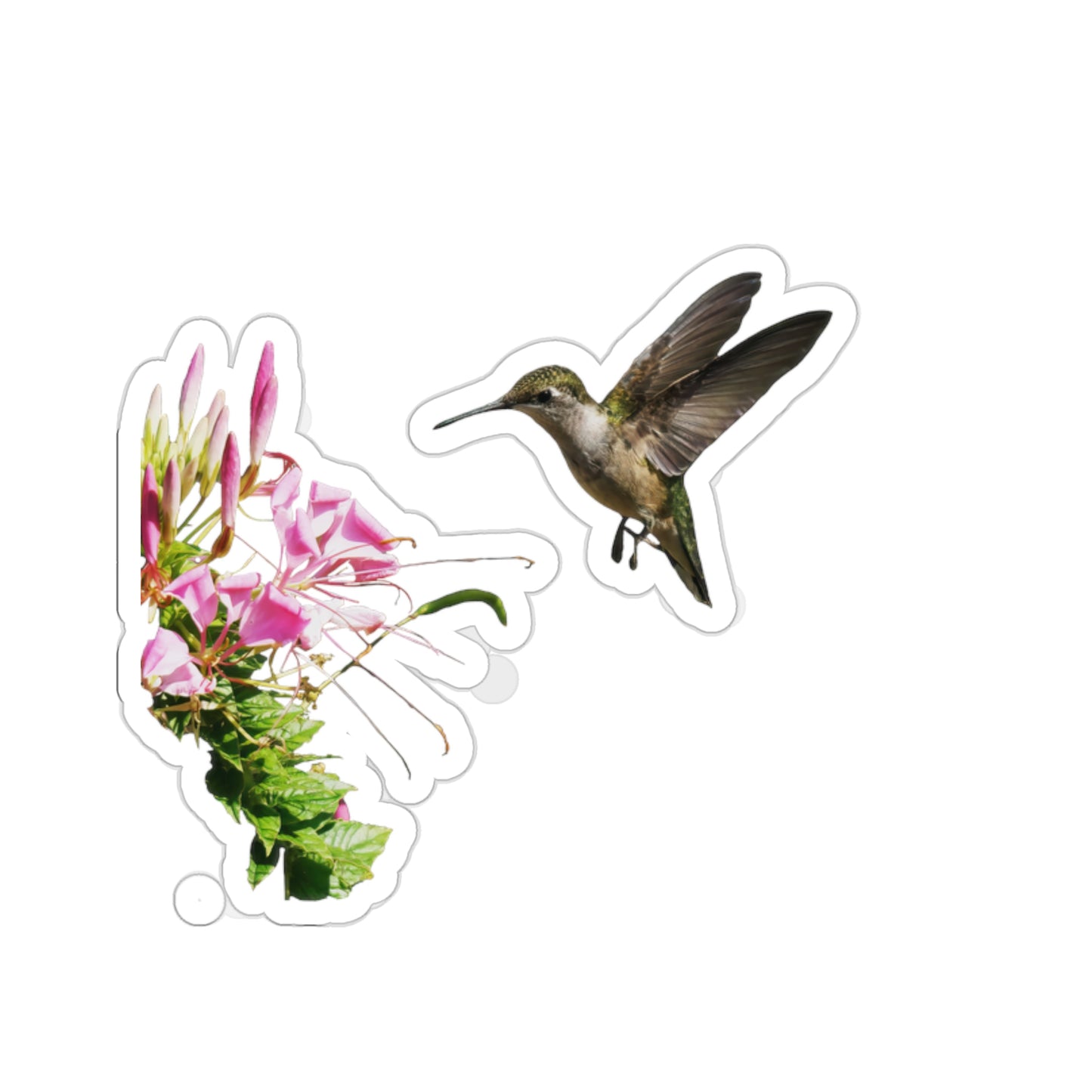 Hummingbird Shaggy Splendor Bloom Die-Cut Stickers