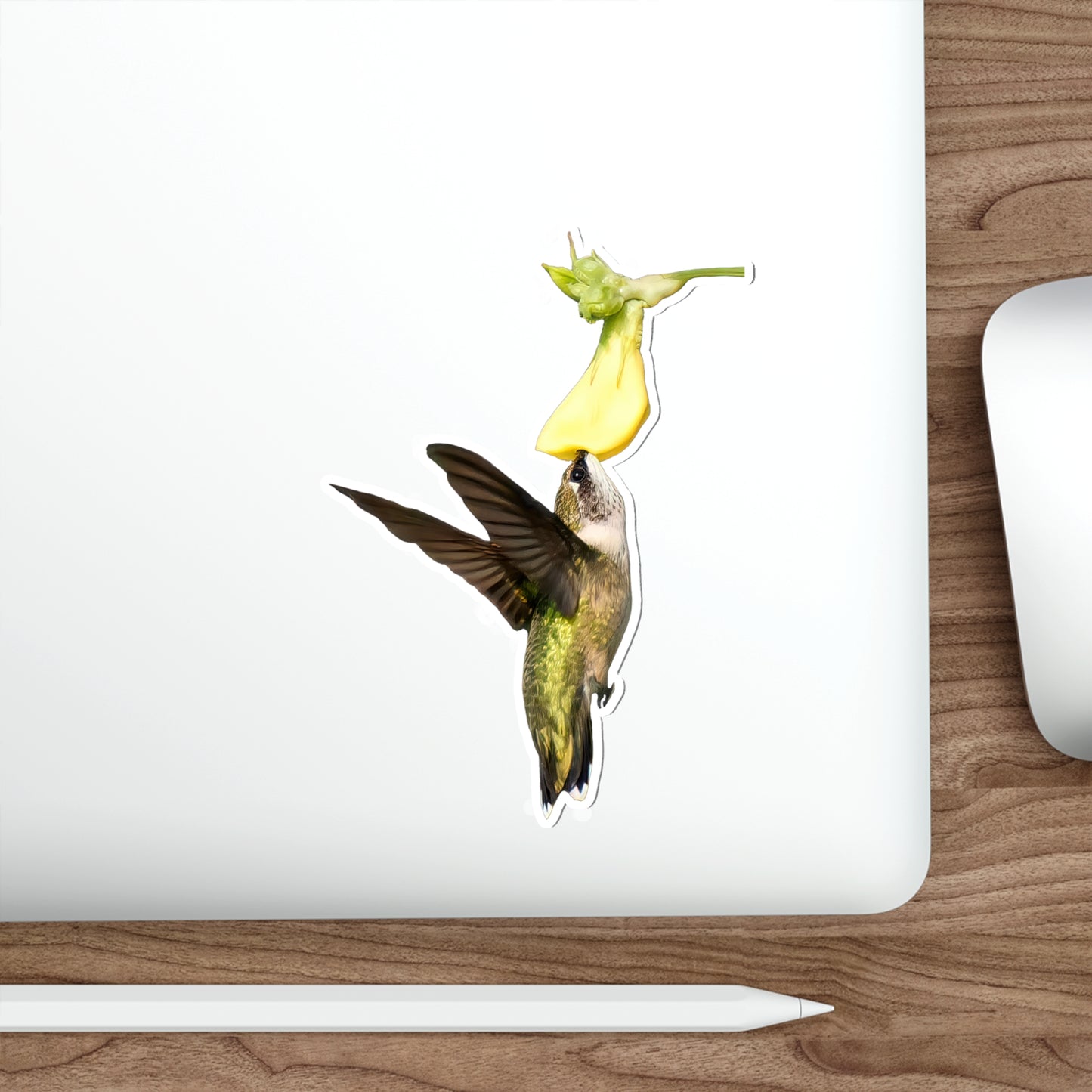 Hummingbird Looking Up Die-Cut Stickers