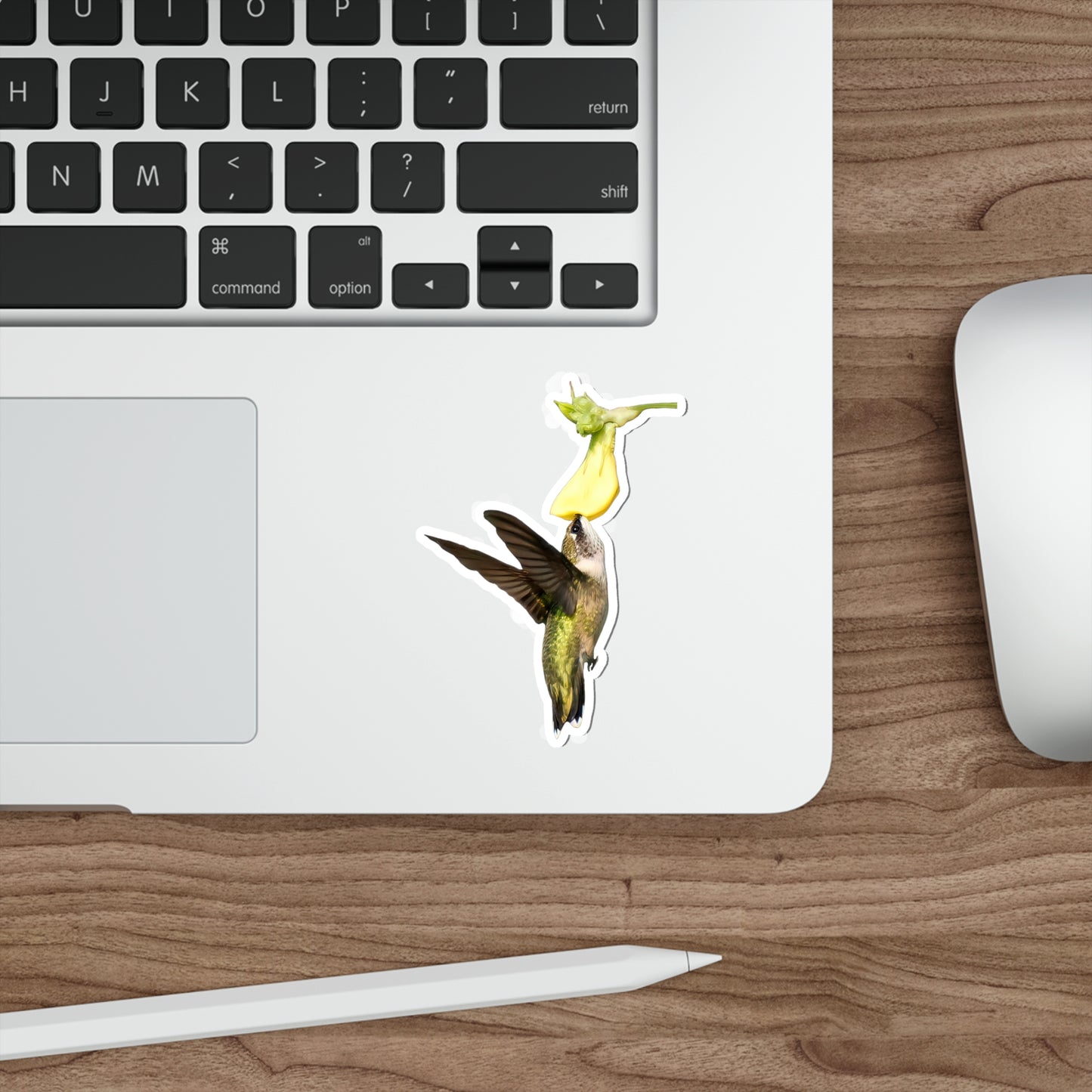 Hummingbird Looking Up Die-Cut Stickers